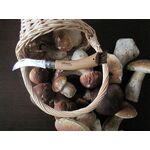 gallery-img