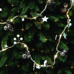 gallery-img