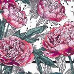 gallery-img