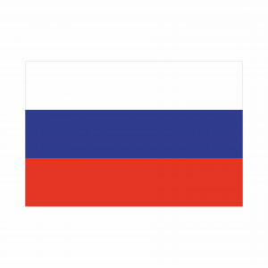 Флаг России 90х135 см на флажной сетке