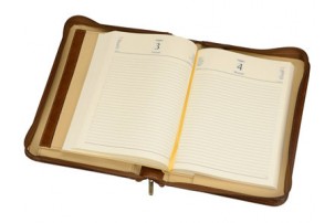 Ежедневник в папке на молнии «Первое лицо» Giulio Barсa, коричневый