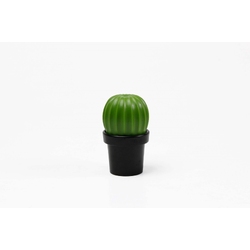МЕЛЬНИЦА ДЛЯ СПЕЦИЙ Tasty Cactus