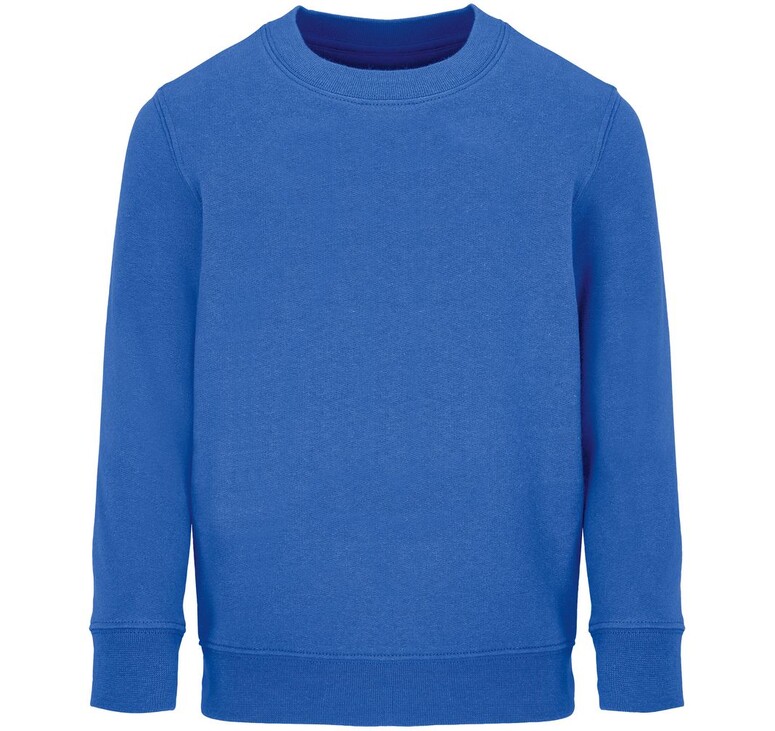 Свитшот детский Columbia Kids, ярко-синий (royal), на рост96-104