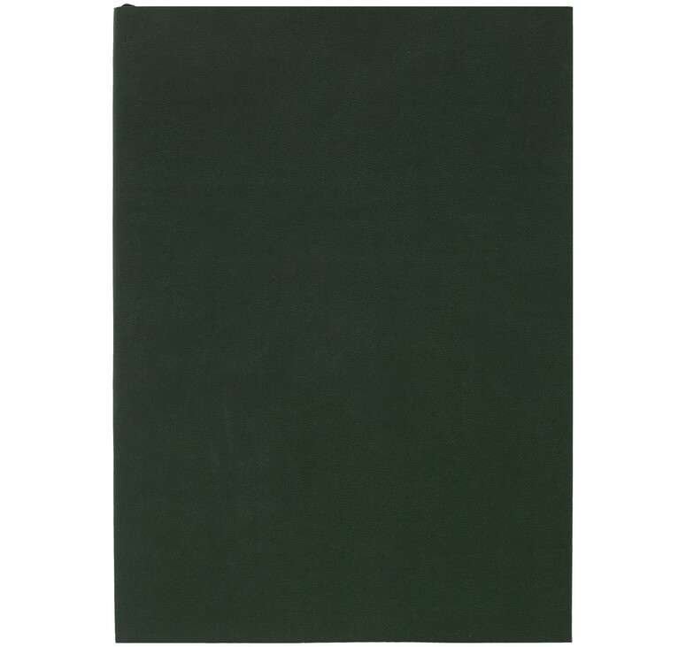 Ежедневник Flat Light, недатированный, зеленый