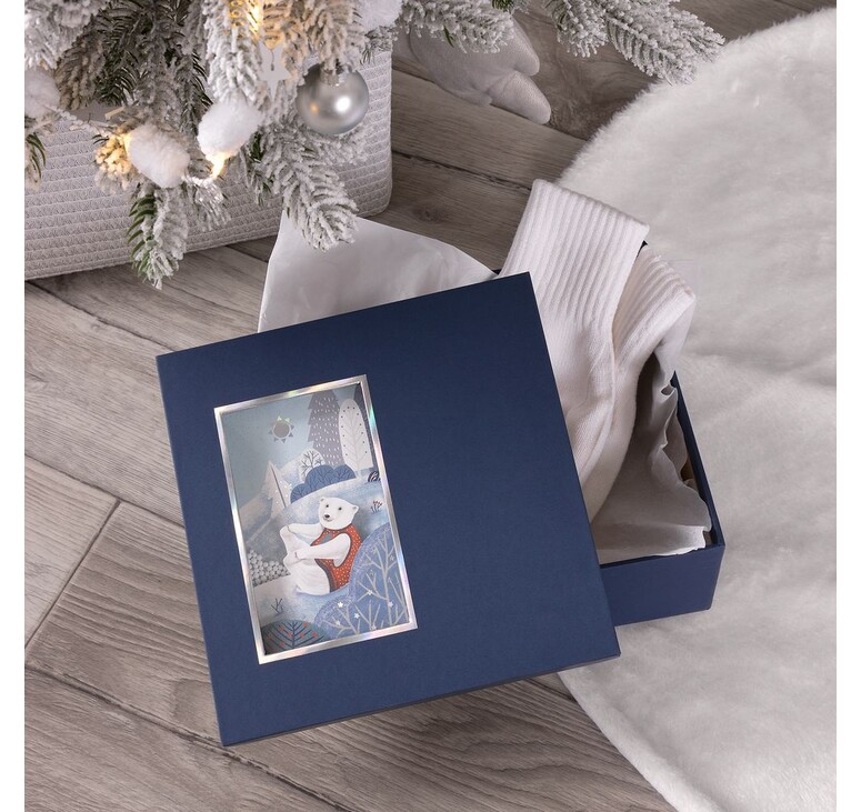 Коробка The Blue Bear, S