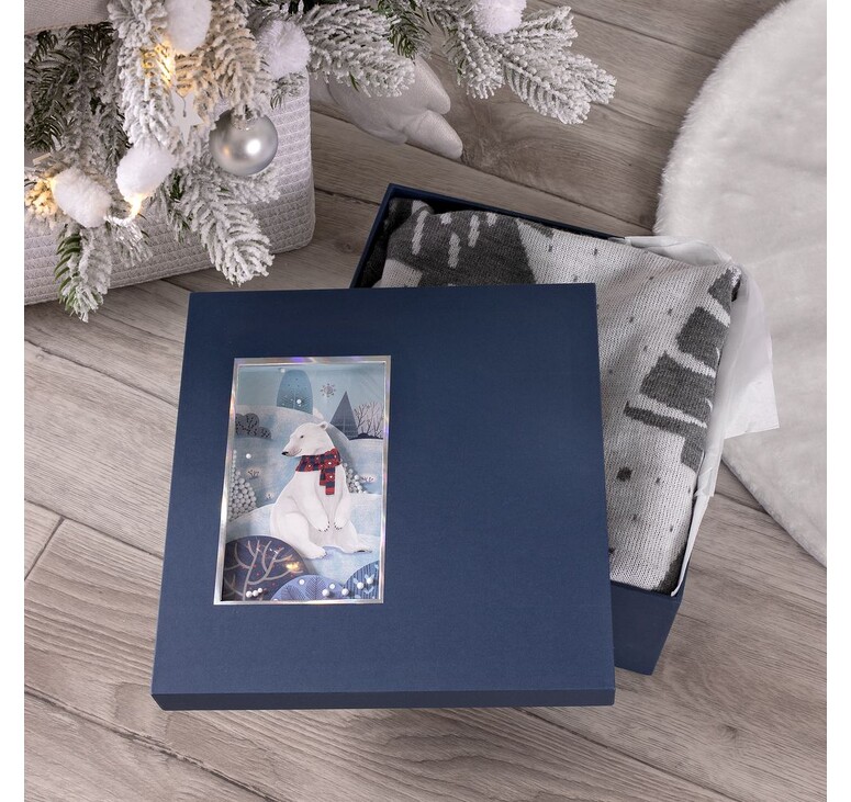 Коробка The Blue Bear, M