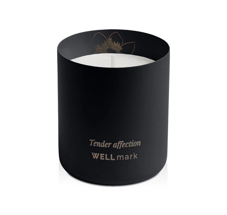 Ароматическая свеча Wellmark 