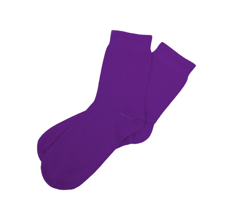 Носки Socks женские фиолетовые, р-м 25